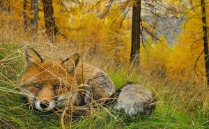  / FOTO: National Geographic